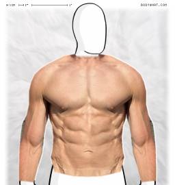Torso