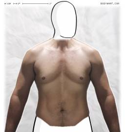 Torso