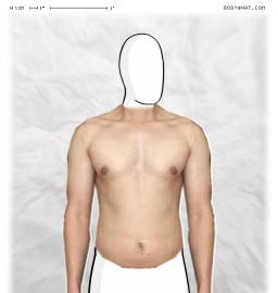 Torso