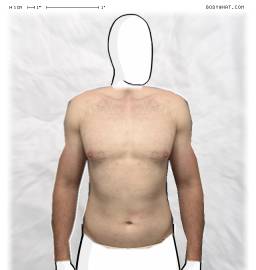 Torso