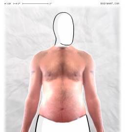 Torso