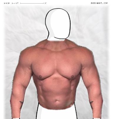 Muscle Morphing