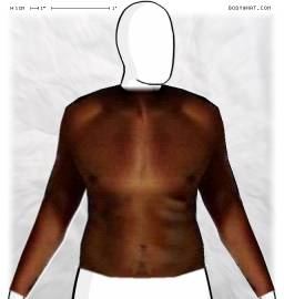 Torso