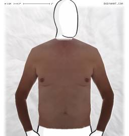 Torso