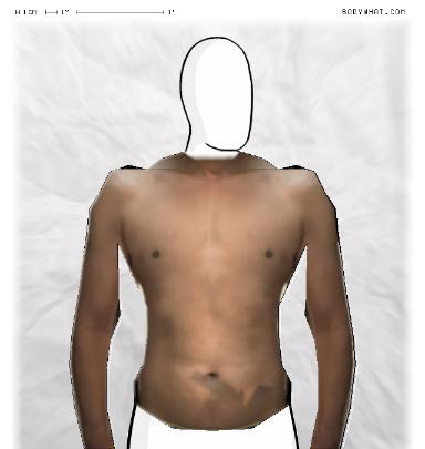 Muscle Morphing