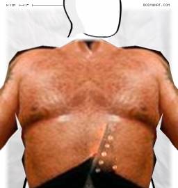 Torso