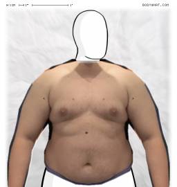 Torso