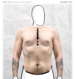 Torso