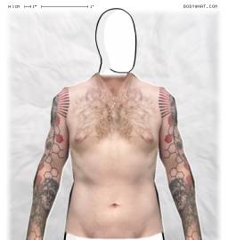 Torso