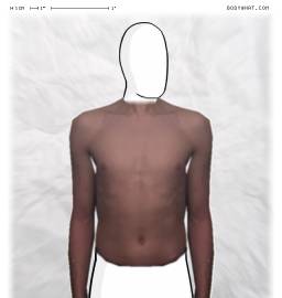 Torso