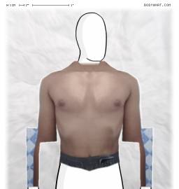 Torso