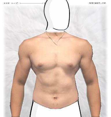 Slim Morphing