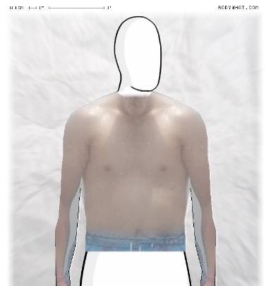 Muscle Morphing