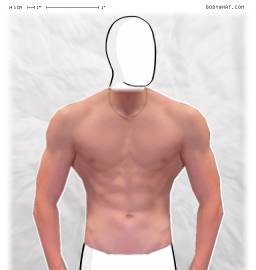 Torso