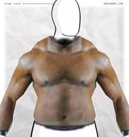 Torso