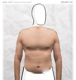 Torso