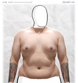 Torso