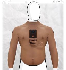 Torso
