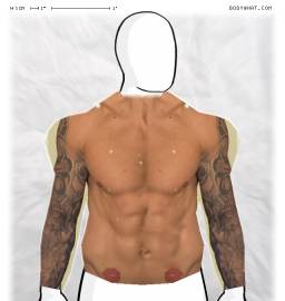 Torso