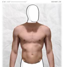 Torso