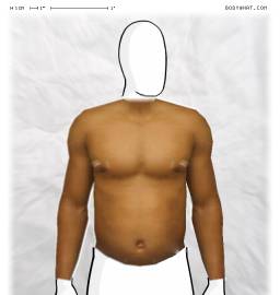 Torso