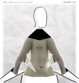 Torso
