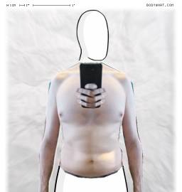 Torso
