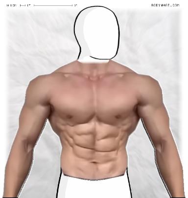 Muscle Morphing