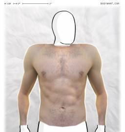 Torso