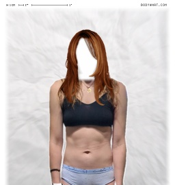 Torso