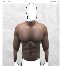 Torso