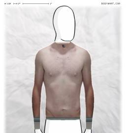 Torso