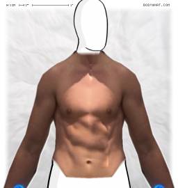 Torso
