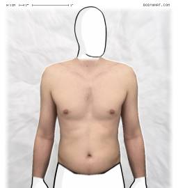 Torso