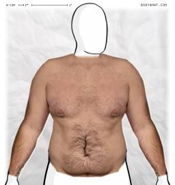 Torso