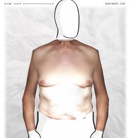 Torso