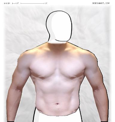 Muscle-ing up