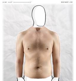 Torso