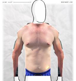 Torso