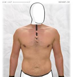 Torso