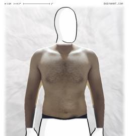 Torso