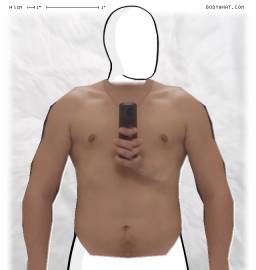 Torso