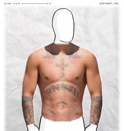 Torso