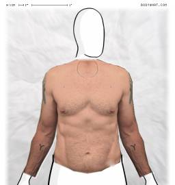 Torso
