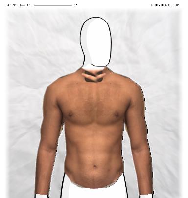 Muscle Morphing