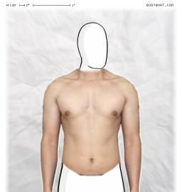Torso