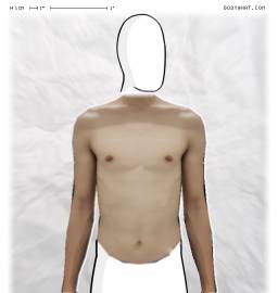 Torso