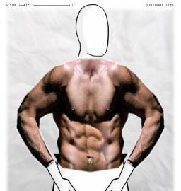 Torso