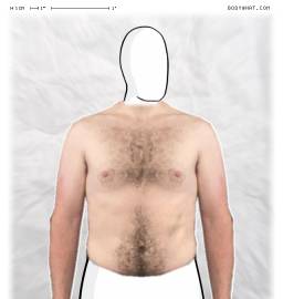 Torso