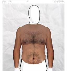 Torso